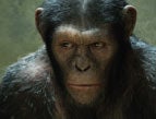 Rise of the Planet of the Apes: Courtesy of WETA