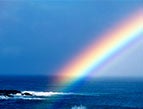Noah flood rainbow