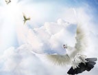 doves in heaven
